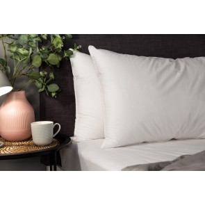 Hotel Accents Micro Fibre Pillow Pair 600GSM 5pr/bag 